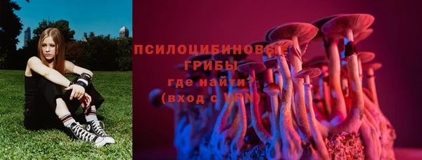 2c-b Верхнеуральск