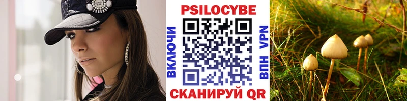 Галлюциногенные грибы Cubensis  Купить  Пойковский 